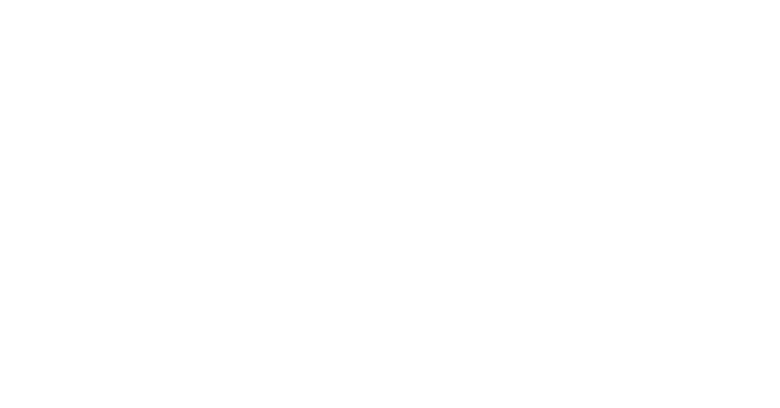 Exostar Logo logo